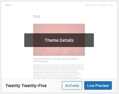 Blog theme details with preview options